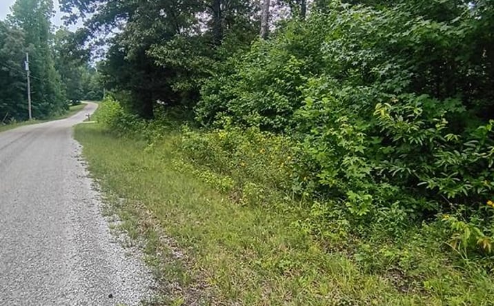 Pictures of Land, Multifamily property located at Lot  19 Whitney Ln, Camden, TN 38320 for sales - image #1