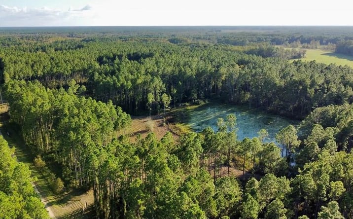 Pictures of Land property located at Waters Pond Rd, Chiefland, FL 32626 for sales - image #1