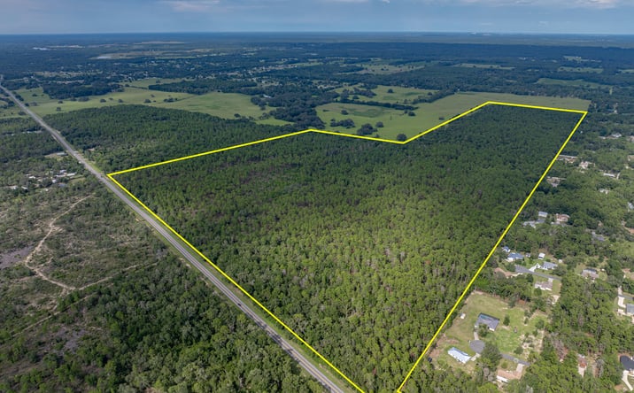 Pictures of Land property located at 11048 S. Florida Avenue, Floral City, FL 34436 for sales - image #1