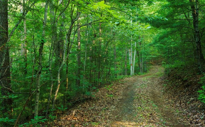 Pictures of Land property located at Gloryland Way, Murphy, NC 28906 for sales - image #1