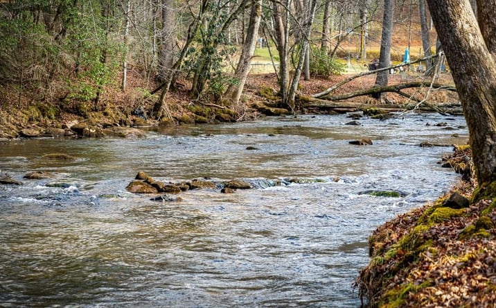 Pictures of Land property located at 5.15 AC Spence Road, Blue Ridge, GA 30513 for sales - image #1