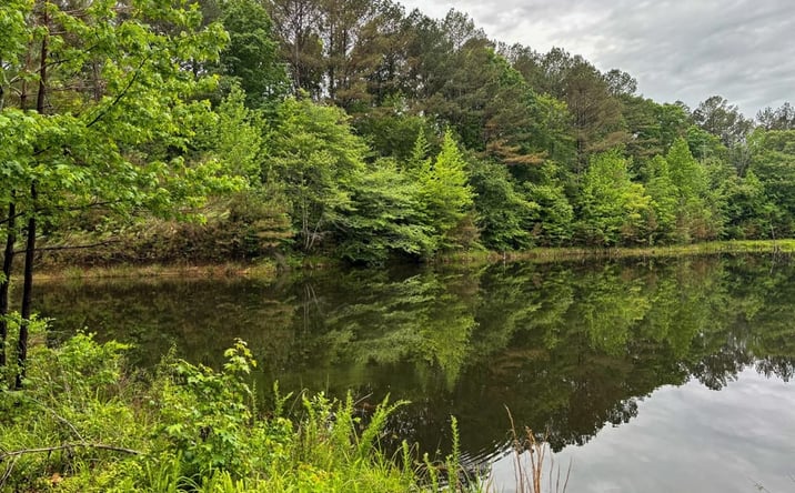 Pictures of Land property located at 00 Beaudry Circle, Jessieville, AR 71949 for sales - image #1