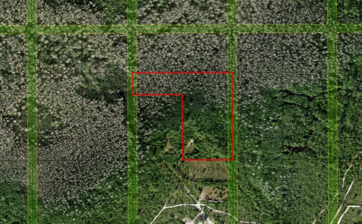 Pictures of Land property located at Holopaw Groves Rd, St. Cloud, FL 34771 for sales - image #1