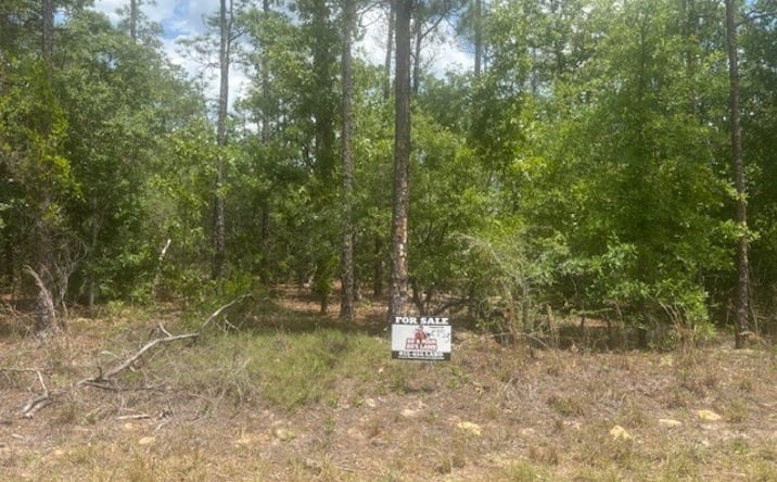 Pictures of Land property located at 8593 N Bambury Terrace, Citrus Springs, FL 34434 for sales - image #1