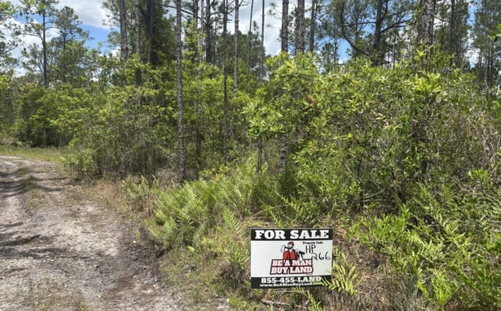 Pictures of Land property located at Holopaw Groves Rd, St. Cloud, FL 34771 for sales - image #1