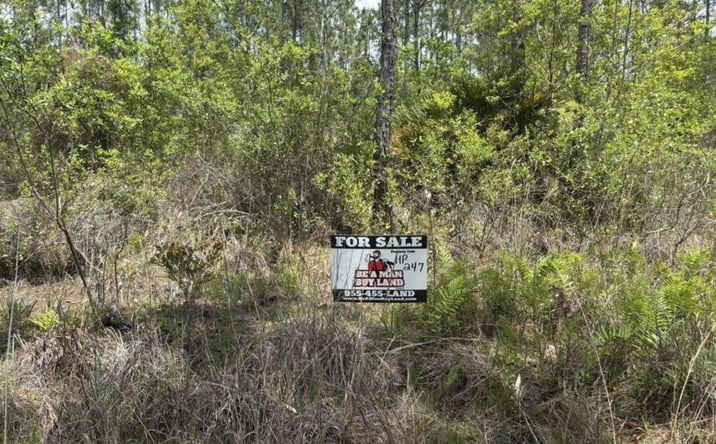 Pictures of Land property located at Holopaw Groves Rd, St. Cloud, FL 34771 for sales - image #1