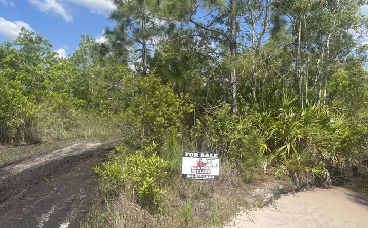 Pictures of Land property located at Holopaw Groves Rd, Windermere, FL 34786 for sales - image #1