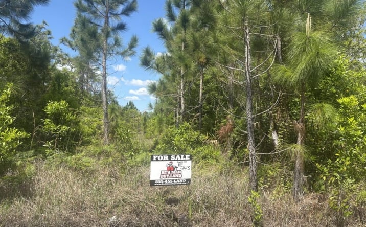 Pictures of Land property located at Holopaw Groves Rd, Wildwood, FL 34785 for sales - image #1