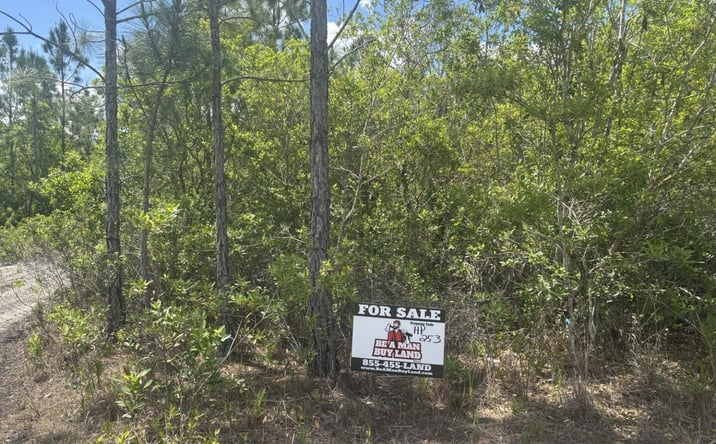 Pictures of Land property located at Holopaw Groves Rd, Saint Cloud, FL 34775 for sales - image #1