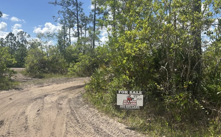Pictures of Land property located at Holopaw Groves Rd, St. Cloud, FL 34772 for sales - image #1