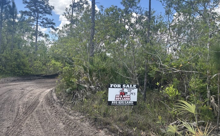 Pictures of Land property located at Holopaw Groves Rd, St. Cloud, FL 34771 for sales - image #1