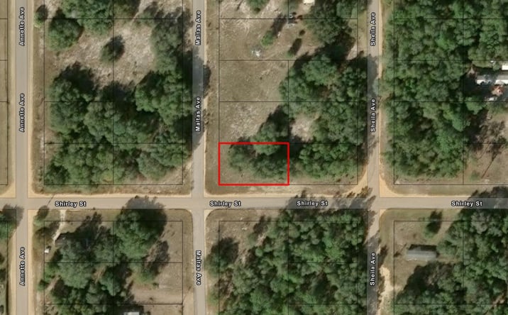 Pictures of Land property located at Shirley St, Interlachen, FL 32148 for sales - image #1