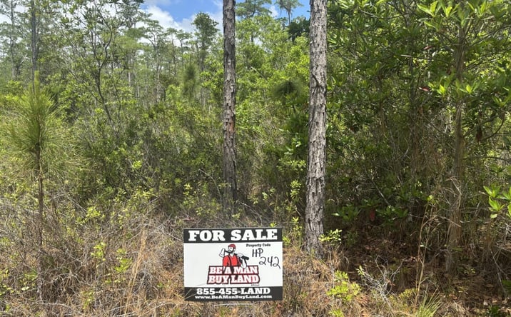 Pictures of Land property located at Holopaw Groves Rd, St. Cloud, FL 34771 for sales - image #1
