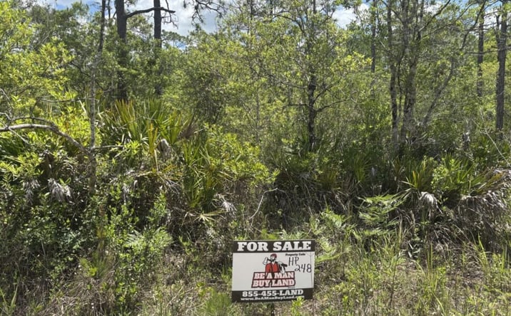 Pictures of Land property located at Holopaw Groves Rd, St. Cloud, FL 34771 for sales - image #1