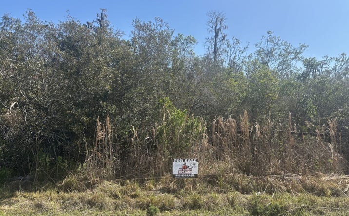 Pictures of Land property located at Polk City, Polk City, FL 33868 for sales - image #1