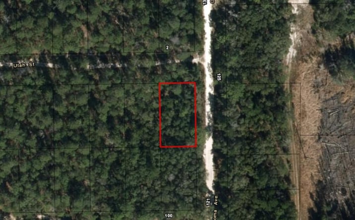 Pictures of Land property located at Oklahoma Ave, Satsuma, FL 32189 for sales - image #1