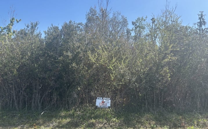 Pictures of Land property located at 0 Old Grade Road, Polk City, FL 33868 for sales - image #1