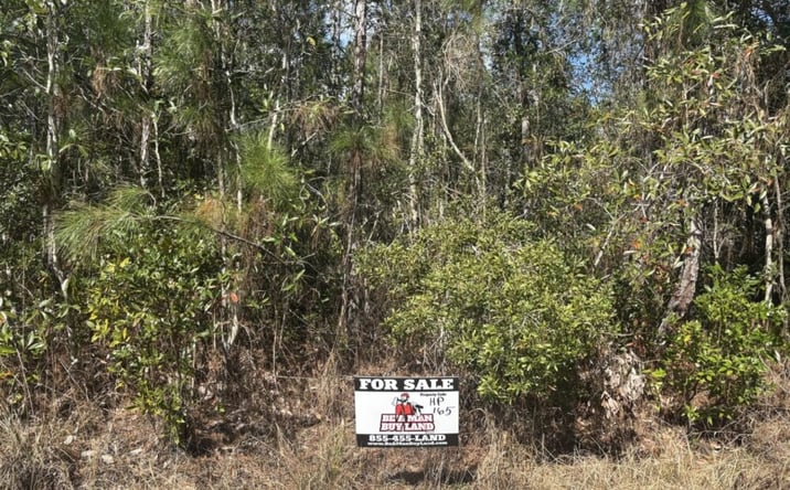 Pictures of Land property located at Holopaw Groves Rd, St. Cloud, FL 34772 for sales - image #1