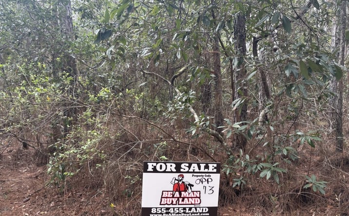 Pictures of Land property located at Polk City, Polk City, FL 33868 for sales - image #1