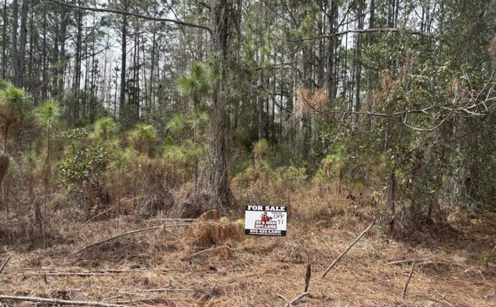 Pictures of Land property located at Polk City, Polk City, FL 33868 for sales - image #1