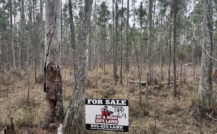 Pictures of Land property located at Polk City, Polk City, FL 33868 for sales - image #1