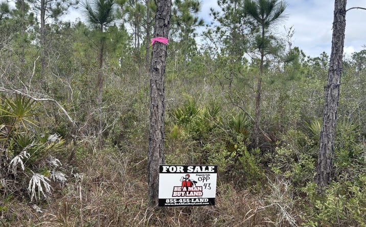 Pictures of Land property located at Polk City, Polk City, FL 33868 for sales - image #1