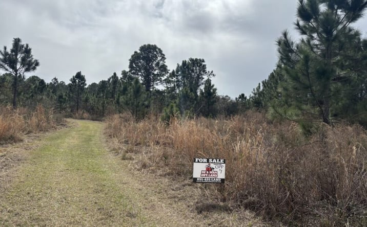 Pictures of Land property located at Polk City, Polk City, FL 33868 for sales - image #1