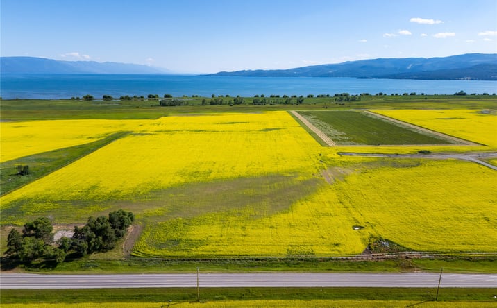 Pictures of Land property located at 1000 MT Hwy 82, SOMERS, MT 59932 for sales - image #1