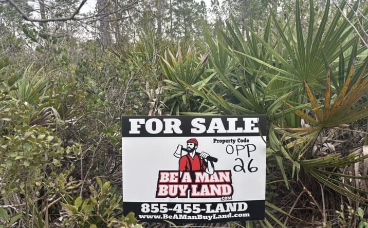 Pictures of Land property located at 0 Old Grade Rd, Polk City, FL 33868 for sales - image #1