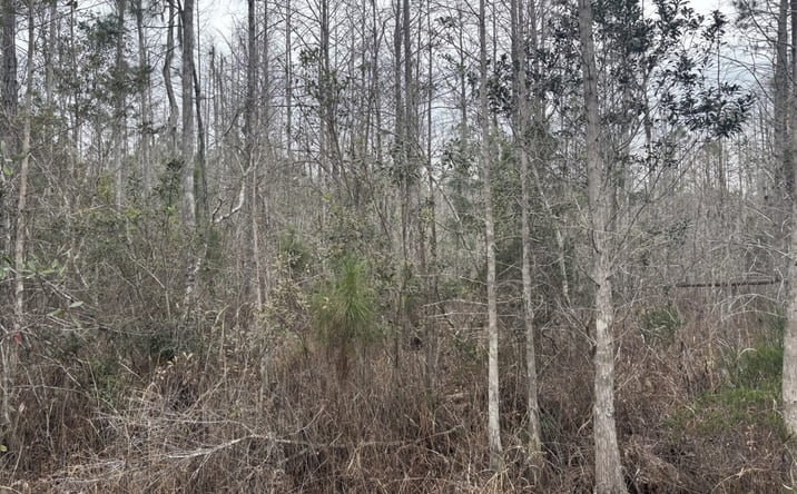 Pictures of Land property located at OPP201, Orlando, FL 32805 for sales - image #1