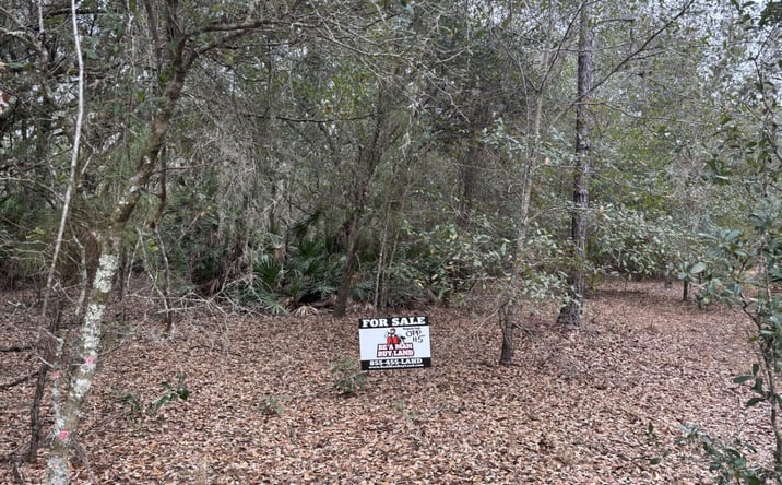 Pictures of Land property located at OPP115, Polk City, FL 33868 for sales - image #1