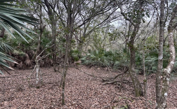 Pictures of Land property located at Polk City, Polk City, FL 33868 for sales - image #1