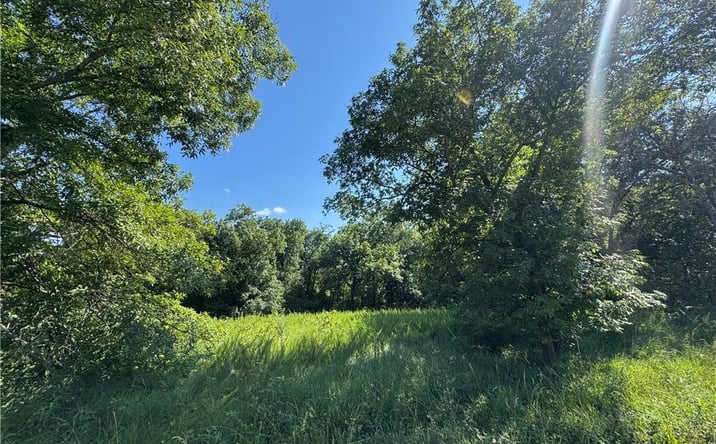 Pictures of Land, Special Purpose property located at Fishing River Road, Excelsior Springs, MO 64024 for sales - image #1