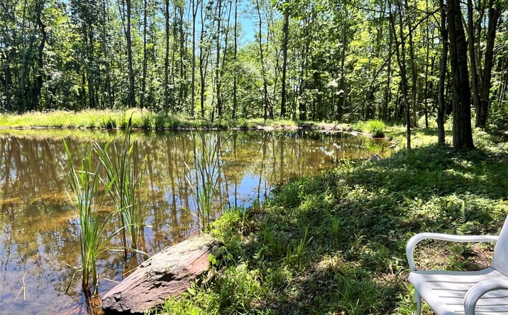 Pictures of Land, Special Purpose property located at Upper Pond Dahlia Road W, Livingston Manor, NY 12758 for sales - image #1