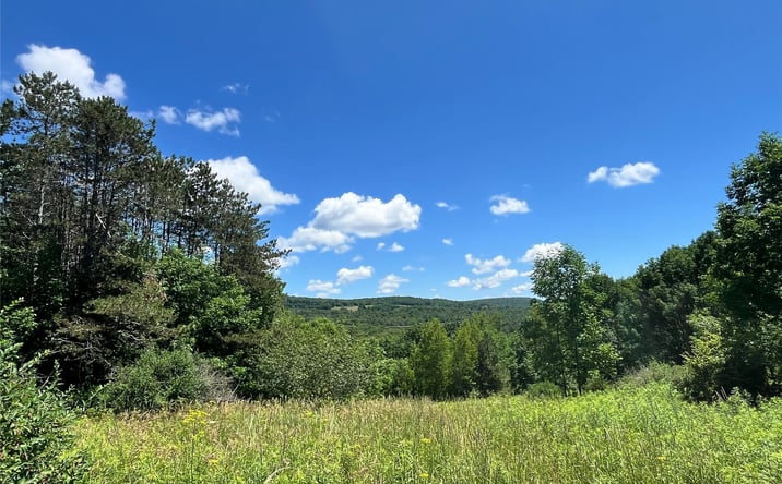 Pictures of Land, Special Purpose property located at Lower Pond Dahlia Road W, Livingston Manor, NY 12758 for sales - image #1