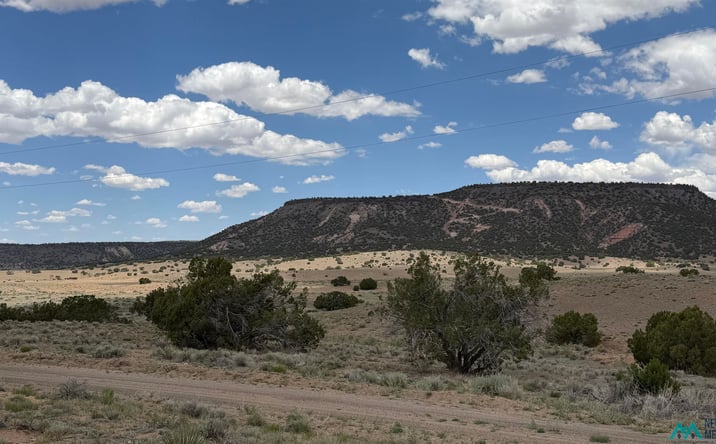 Pictures of Land property located at 147 Largo Creek Rd Road, Quemado, NM 87829 for sales - image #1