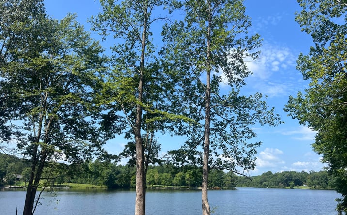 Pictures of Land property located at 33 Arrowhead Pt (Lot 175), Cedar Grove, TN 38321 for sales - image #1