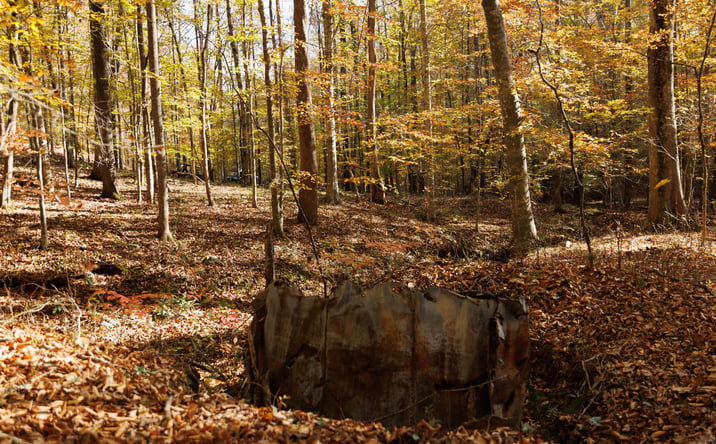 Pictures of Land property located at Reid Place Rd., Thomaston, GA 30286 for sales - image #1