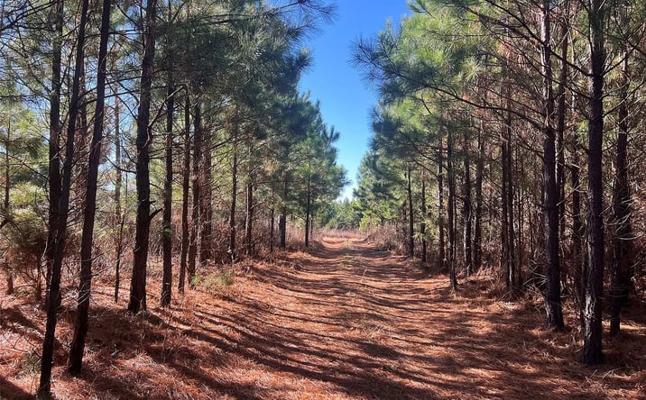 Pictures of Land property located at Sugarloaf Mountain Peak, Cameron, OK 74932 for sales - image #1