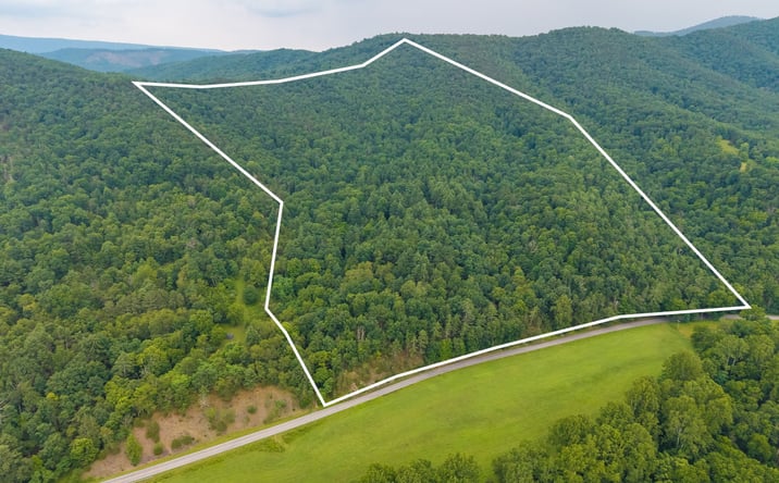Pictures of Land property located at tbd Criders Road, Bergton, VA 22811 for sales - image #1