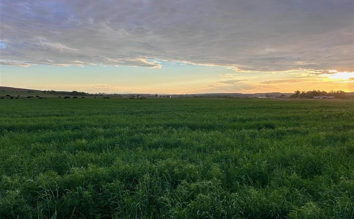Pictures of Land property located at TBD Lane 33 1/2, Greybull, WY 82426 for sales - image #1