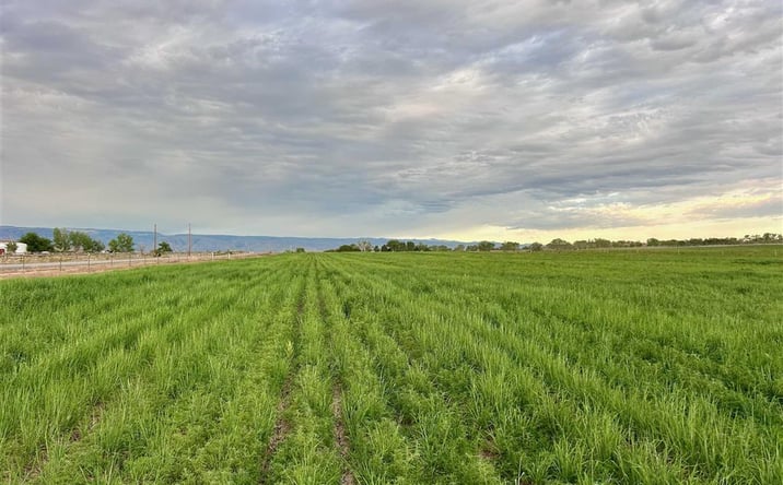 Pictures of Land property located at TBD Lane 33 1/2, Greybull, WY 82426 for sales - image #1