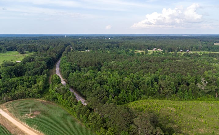 Pictures of Land property located at 00 Mississippi 589, Seminary, MS 39479 for sales - image #1