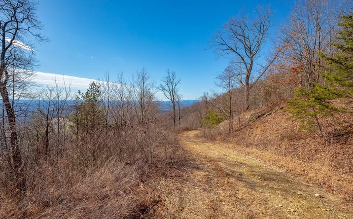 Pictures of Land, Multifamily property located at Lot 118 Spring Pond Trl, Fancy Gap, VA 24328 for sales - image #1