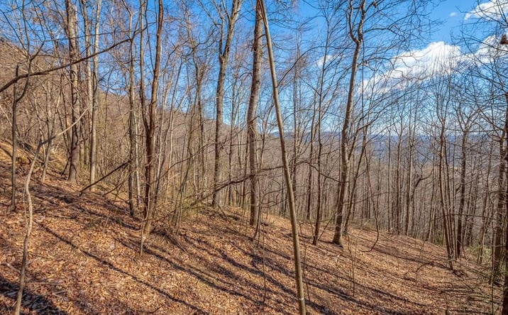 Pictures of Land, Multifamily property located at Lot 117 Spring Pond Trl, Fancy Gap, VA 24328 for sales - image #1