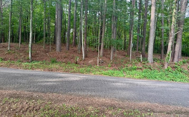 Pictures of Land property located at Hwy 68, Turtletown, TN 37391 for sales - image #1