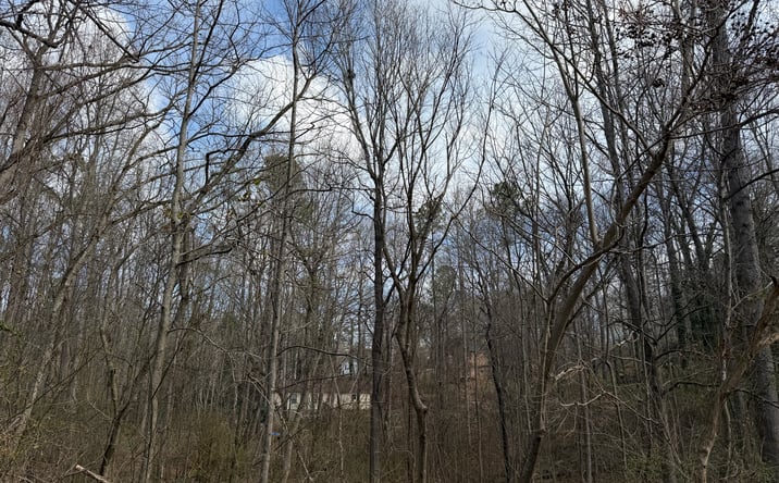 Pictures of Land property located at 66 Red Top Circle Southeast, Emerson, GA 30137 for sales - image #1