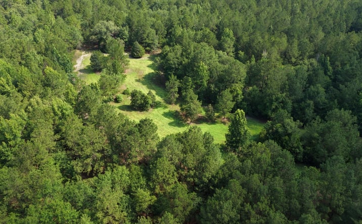 Pictures of Mixed Use, Land property located at 0 Sassertown Road, Rocky Ford, GA 30455 for sales - image #1