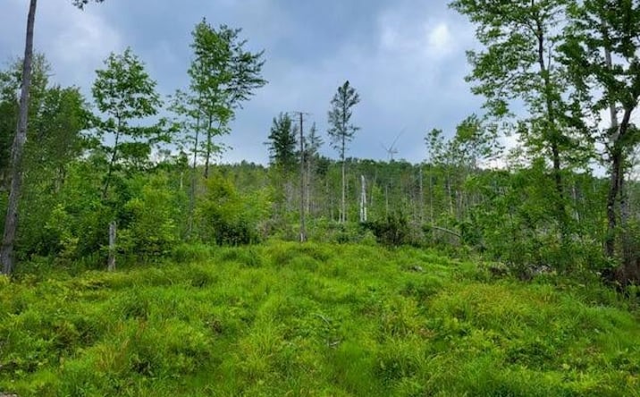 Pictures of Land property located at Brown Road, Oakfield, ME 04763 for sales - image #1