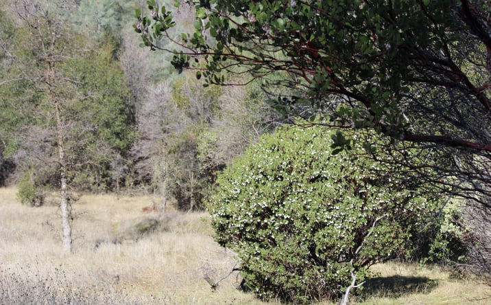 Pictures of Land property located at 0 Fricot Road, San Andreas, CA 95249 for sales - image #1